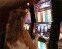 The Secret to Hitting Jackpots on Your Favorite Slot Games