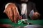 Psychological Discipline Remains the Deciding Factor in High-Stakes Rooms