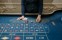 What determines game availability across different online casinos and why catalogs vary so widely